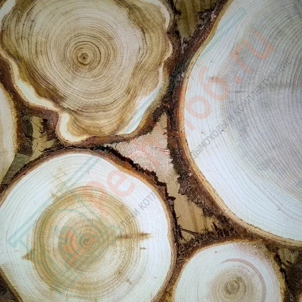 Экопанно из можжевельника (ЭНФ) 400х400 мм