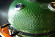 Керамический гриль SG с окошком, 57 см / 22 дюйма (зеленый) (Start Grill) в Ижевске
